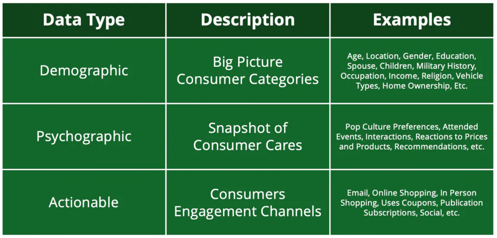  Data types such as demographic and psychographic plus descriptions and examples of each