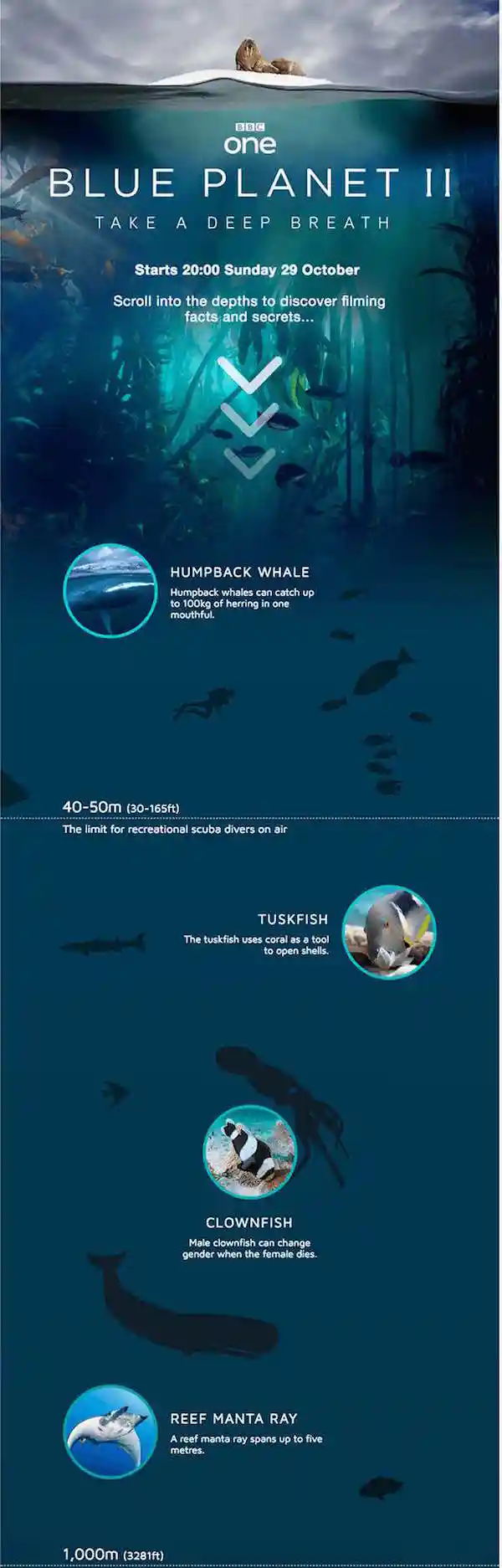 great newsletter examples-Blue Planet II