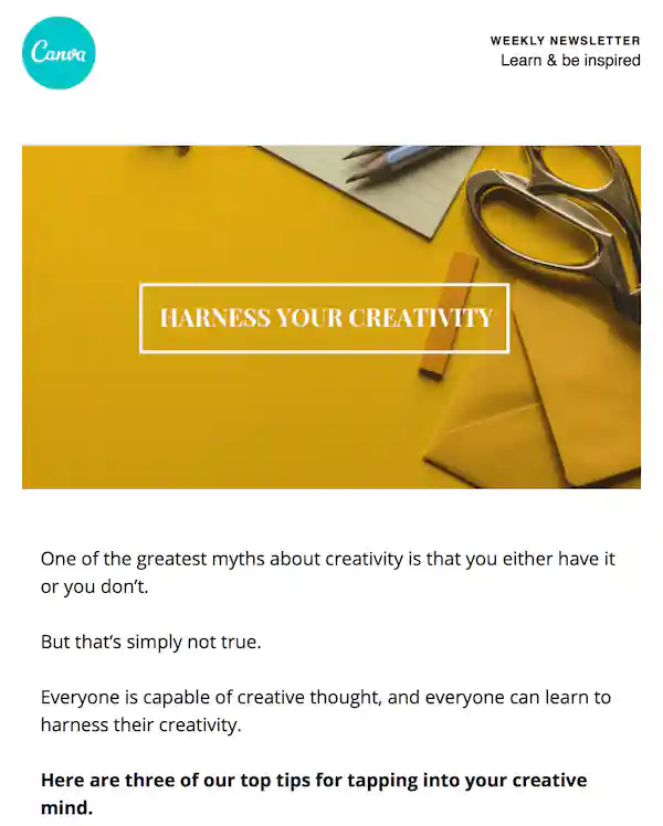 great newsletter examples-Canva