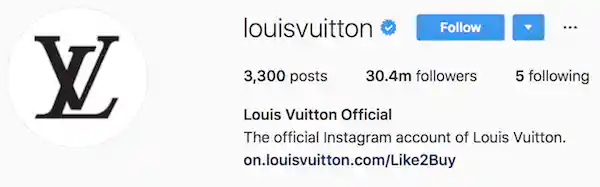 Instagram bio examples louisvuitton