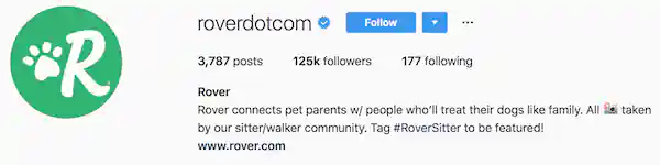 Instagram bio examples roverdotcom