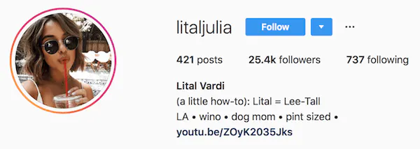 Instagram bio examples litaljulia