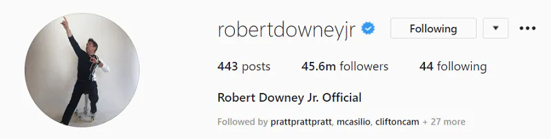 Conseils pour prendre la photo de profil parfaite en instagram - Robert Downey Jr. 