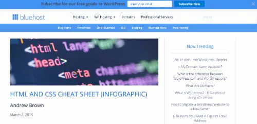 Bluehost - HTML & CSS Cheat Sheet (Infográfico)