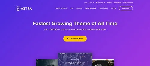 Best WordPress Theme for eCommerce Sites: Astra