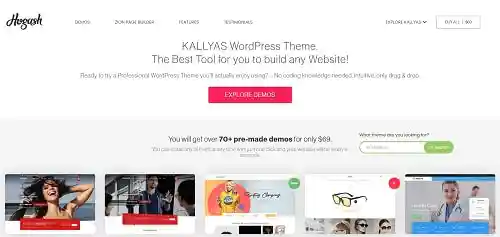 商業網站最佳 Wordpress 主題: Kallyas。