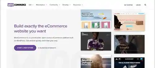 Using WooCommerce for Your WordPress eCommerce Site