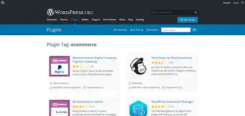 Plugins to Add Functionality for WordPress eCommerce