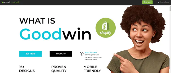 Best Shopify Themes : Goodwin
