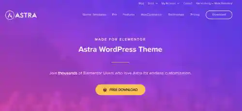 Best WordPress eCommerce Themes: Astra