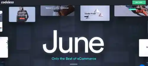 Best WordPress eCommerce Themes: June