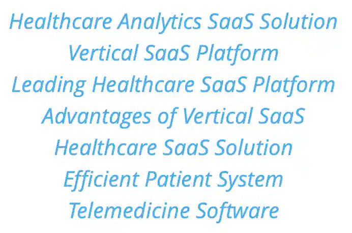 Top keywords include healthcare analytics SaaS solution, vertical SaaS platform, leading healthcare SaaS platform, and more. 