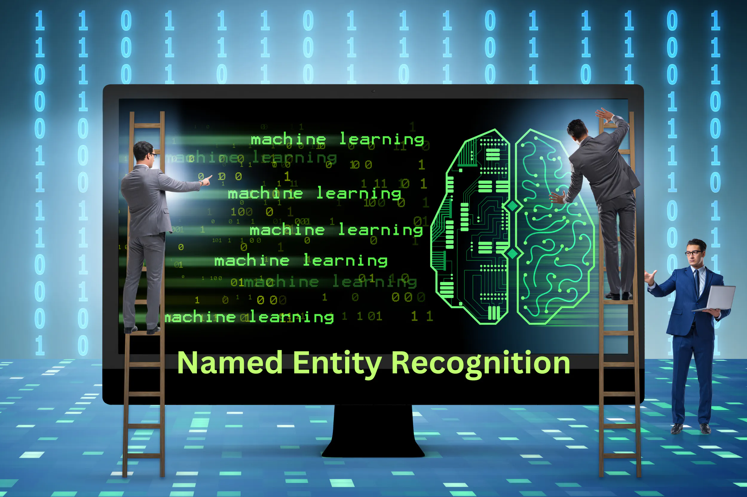 Named Entity Recognition (NER)