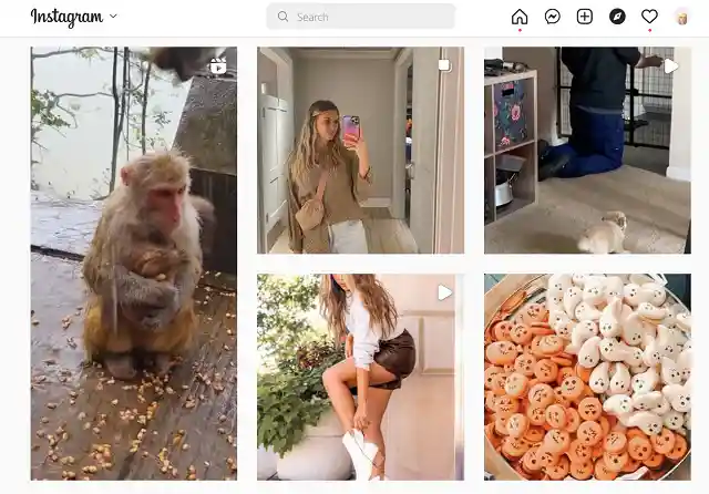 Instagram Explore screenshot