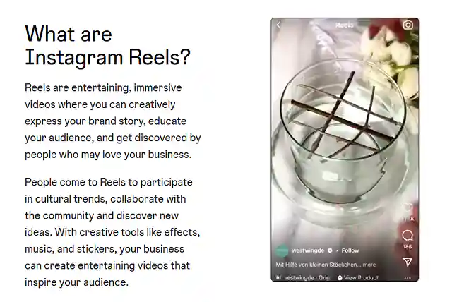 What are Instagram Reels? Screenshot 