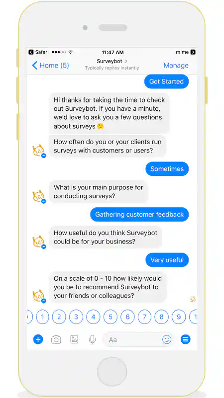 Surveybot screenshot