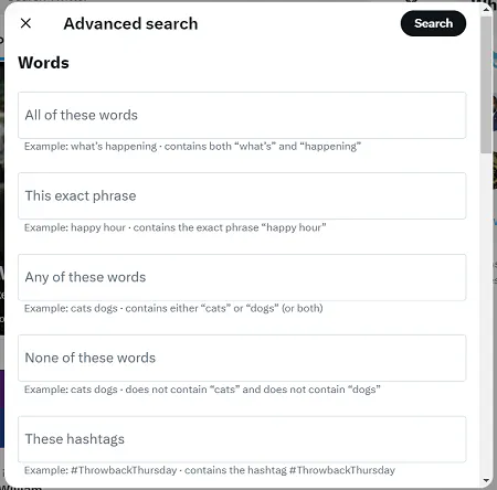 Twitter Advanced Search screenshot